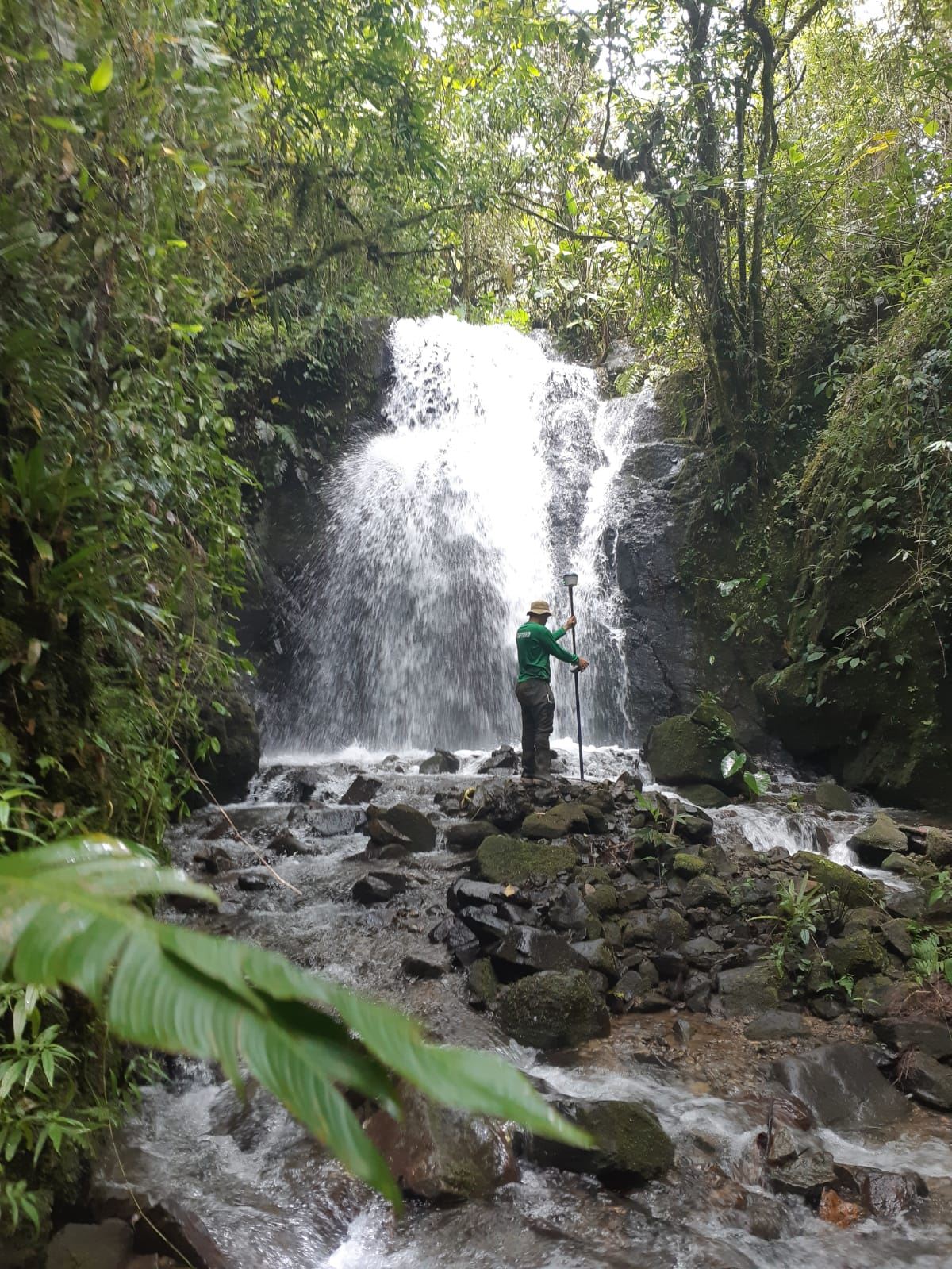 5 Pristine Waterfalls on More than 17 Acres- bordering reserve